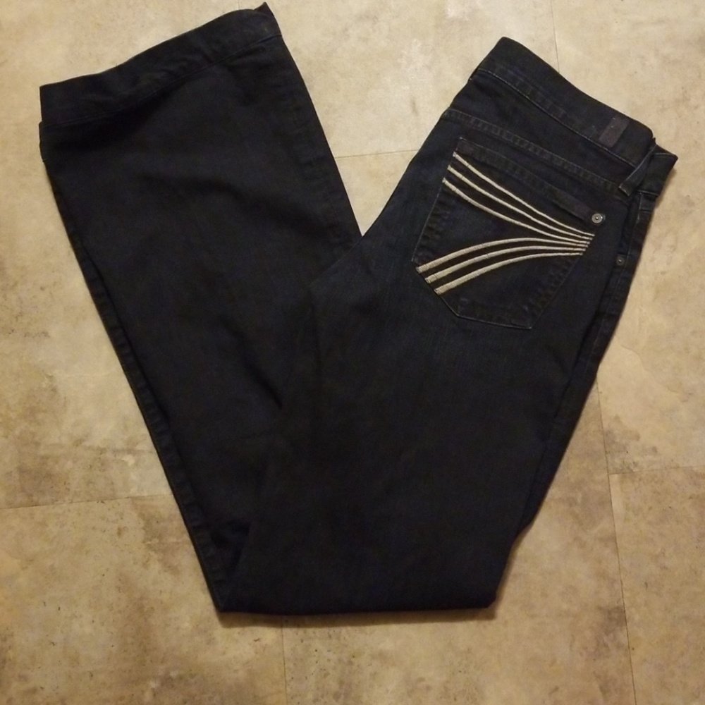 7 FOR ALL MANKIND DOJO 28×32